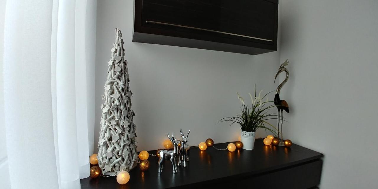 Apartament Wyspa, 2 Pokoje, Parking Gratis Мендзиводзе Екстер'єр фото