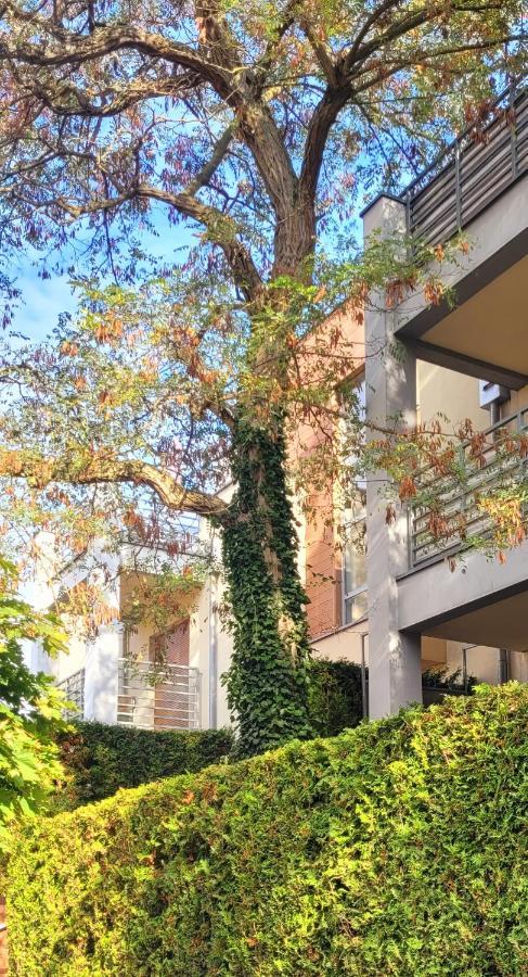Apartament Wyspa, 2 Pokoje, Parking Gratis Мендзиводзе Екстер'єр фото
